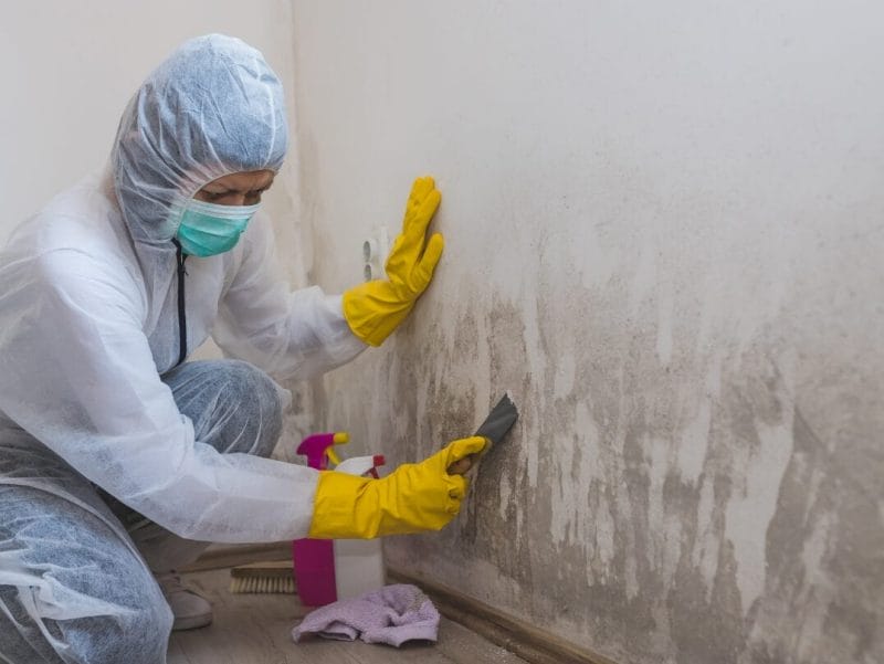 Dealing with Mold: A Guide for Commercial Property Owners 3 Technician in protective gear removing mold from a wall.